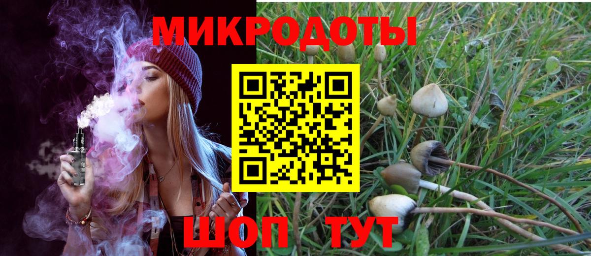 Красноармейск  купить  сайты  Вход с VPN  Галлюциногенные грибы прущие грибы 